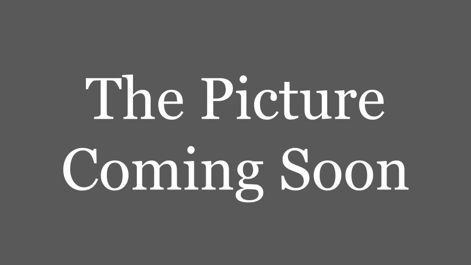 Tamahagane Jewelry Necklace (Thick Chain)